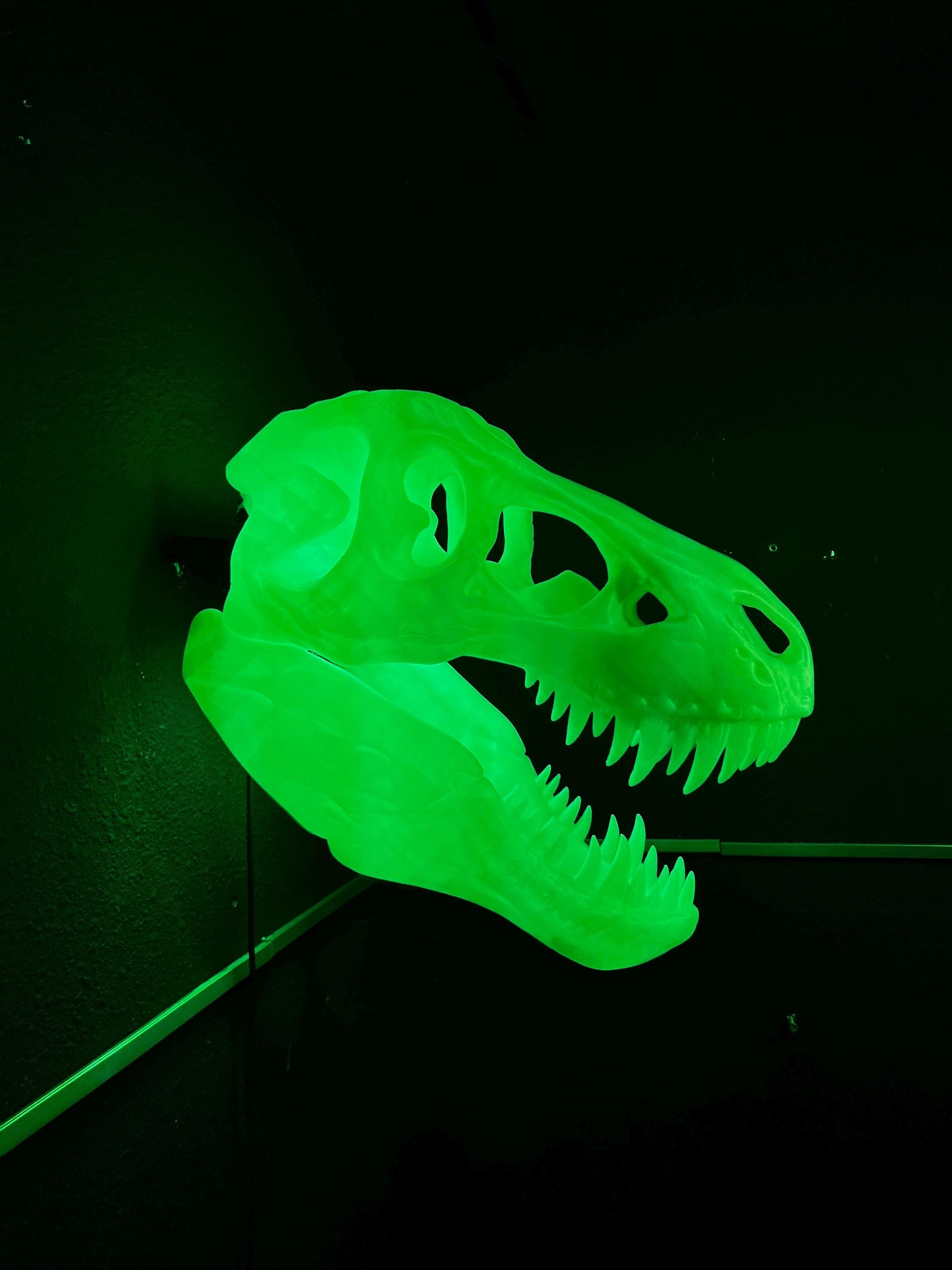 Trex Skull RGB Light Tyrannosaurus Dinosaur Wall Art – Unique Home Decor, Gaming Room, Kids Nightlight, Office Desk Decoration