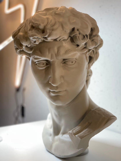 David Bust Statue | 3D Renaissance Sculpture | michelangelo | Modern Home Decor and outdoor Art Display