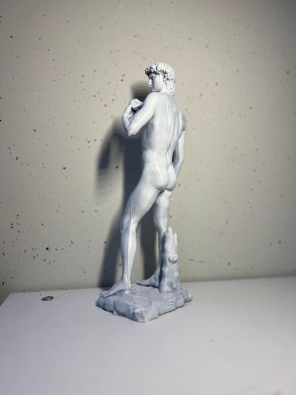 David Statue | Classic Art Sculpture | Michelangelo David | Italian Renaissance Decor | Home & Office Art | Antique Style Bust | 3D Printed