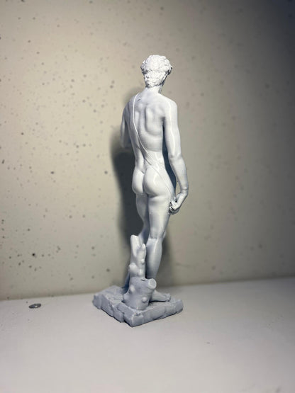 David Statue | Classic Art Sculpture | Michelangelo David | Italian Renaissance Decor | Home & Office Art | Antique Style Bust | 3D Printed