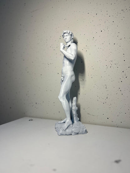 David Statue | Classic Art Sculpture | Michelangelo David | Italian Renaissance Decor | Home & Office Art | Antique Style Bust | 3D Printed