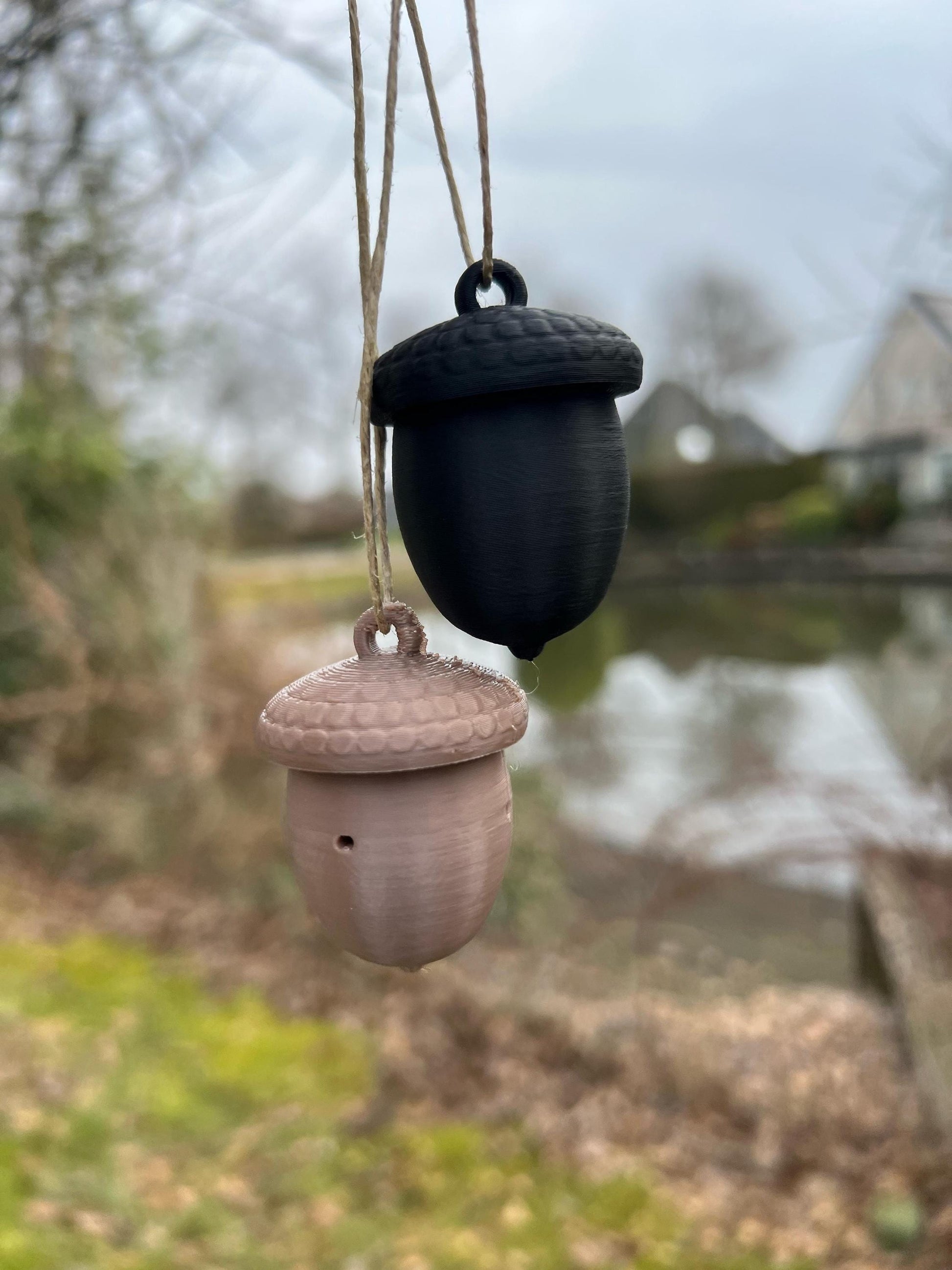 Acorn dog scent training tool