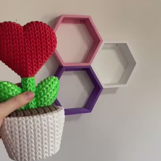 Dried Flowers | Valentine’s Decor | Crocheted Heart Flower in Pot | Unique Knitted Braided Home Ornament | Cute Gift for Her & Him