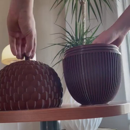 Acorn Box, Keepsake Box, Jewelry Storage, Decorative Container, Storage Box, Gift Under 100, Naturalist