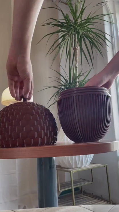 Acorn Box, Keepsake Box, Jewelry Storage, Decorative Container, Storage Box, Gift Under 100, Naturalist