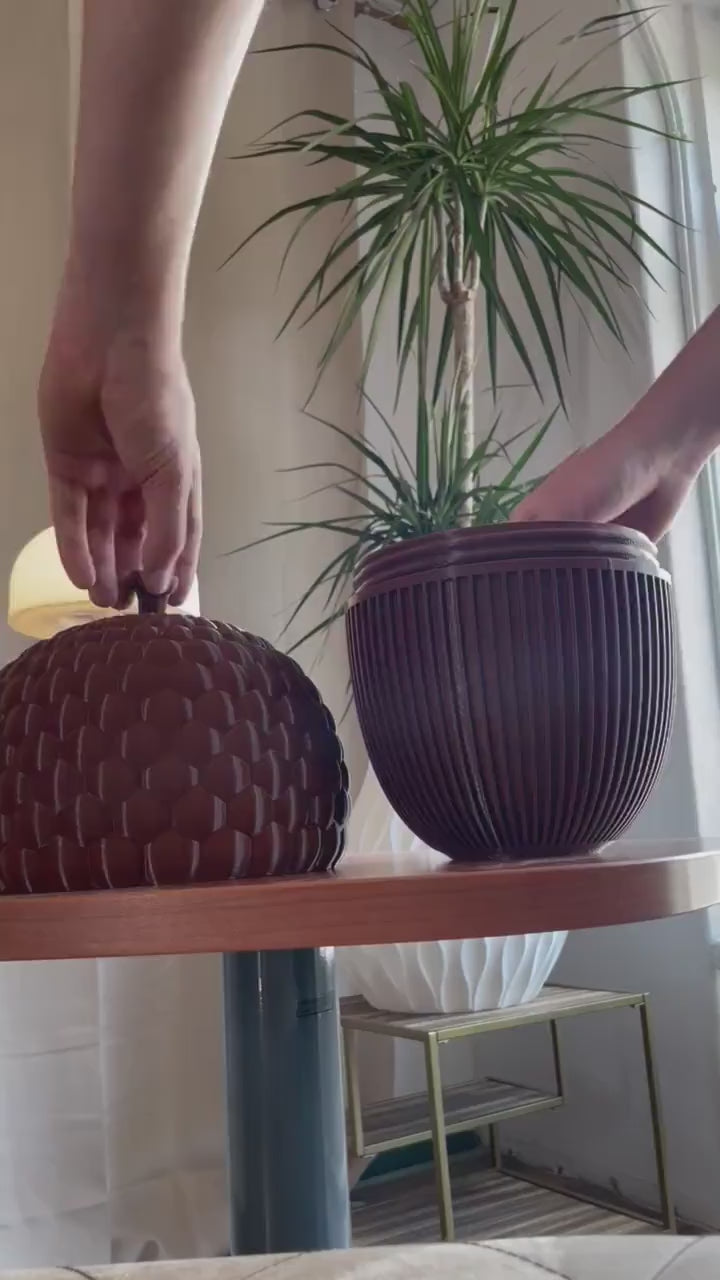 Acorn Box, Keepsake Box, Jewelry Storage, Decorative Container, Storage Box, Gift Under 100, Naturalist