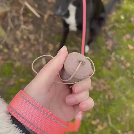 Nosework Dog Toy Acorn | Interactive Dog Puzzle | Scent Training Toy | Treat Dispenser | Enrichment Toy | Snuffle Acorn |