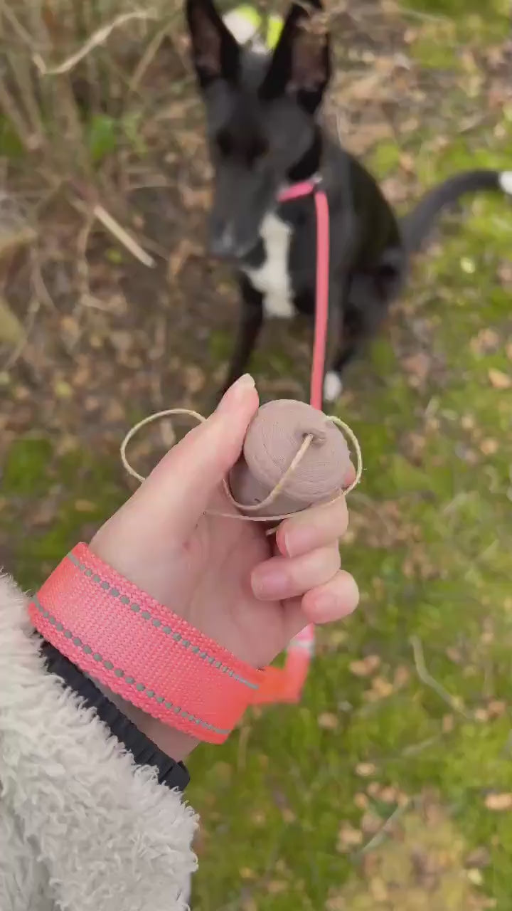 Nosework Dog Toy Acorn | Interactive Dog Puzzle | Scent Training Toy | Treat Dispenser | Enrichment Toy | Snuffle Acorn |
