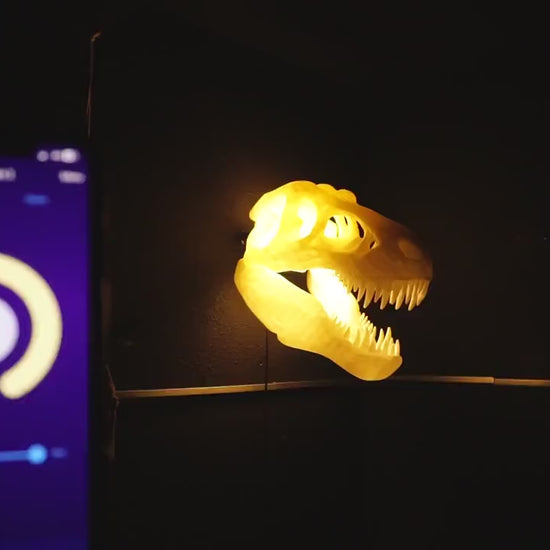 Trex Skull RGB Light Tyrannosaurus Dinosaur Wall Art – Unique Home Decor, Gaming Room, Kids Nightlight, Office Desk Decoration